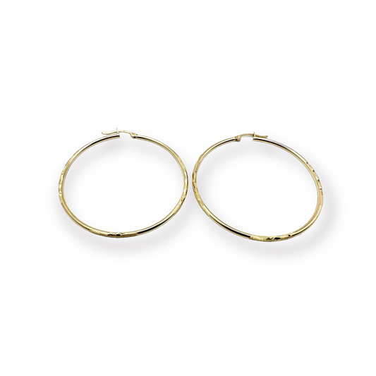 Hoop Earrings # 202