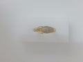 14k Yellow Gold Women's Ring 2.9g