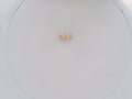 14k Yellow Gold Women's Ring 7.2g
