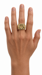 14KT ANILLOS DE HOMBRE