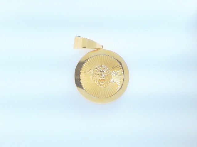 14k Yellow Gold Unisex Pendant 11.8g