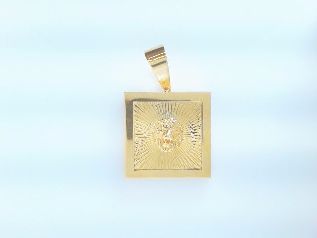 14k Yellow Gold Unisex Pendant 14g