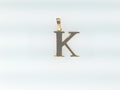 14k Yellow Gold Unisex Pendant 1g