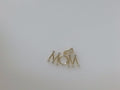 14k Yellow Gold Unisex Pendant 2g