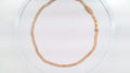 14k Yellow Gold Unisex Cadena Corte Filo 22g