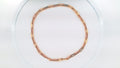 14 KT CADENA PAPERCLIP