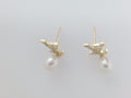 14 KT ARETES