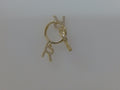 14 KT ARGOLLAS
