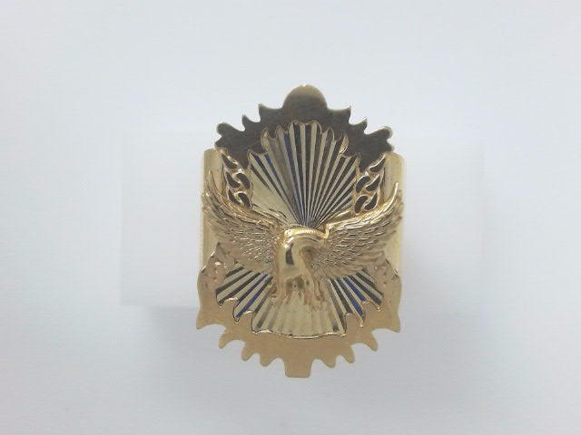 10k Yellow Gold Men's Ring 11.1g