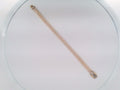 10k Yellow Gold Women's Bracelet 8.5g