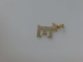 10k Yellow Gold Pendant 2.6g
