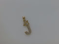 10k Yellow Gold Pendant 2g