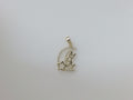 10k Yellow Gold Pendant 1.7g