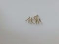 10k Yellow Gold Pendant 1.8g