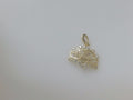 10k Yellow Gold Pendant 2.5g