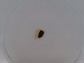 10 KT PENDANT