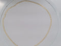 10k Yellow Gold Unisex Cadena Corte Filoj 8.3g