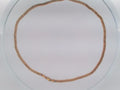 10k Yellow Gold Unisex Cadena Corte Filoj Diamantado 13.2g