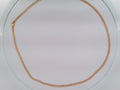 10k Yellow Gold Unisex Cadena Corte Filoj Diamantado 7.3g