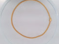 10k Yellow Gold Cadena Semisolida De Cirrie Cajaj 11.1g