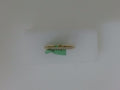 14 KT DIAMOND WEDDING RING LAB