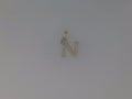 14k Yellow Gold Unisex Pendant 1g