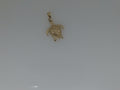 14k Yellow Gold Unisex Pendant 1.1g