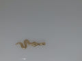 14k Yellow Gold Unisex Pendant 0.9g