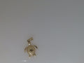 14k Yellow Gold Unisex Pendant 1.1g