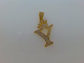 14k Yellow Gold Unisex Pendant 1.7g