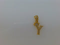 14k Yellow Gold Unisex Pendant 1g