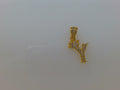 14k Yellow Gold Unisex Pendant 1g
