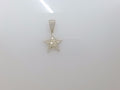 10k Yellow Gold Pendant 1.7g