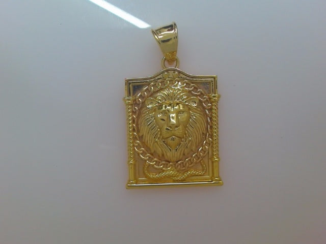 10k Yellow Gold Pendant 17.9g