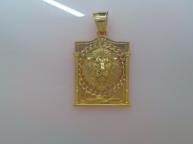 10k Yellow Gold Pendant 17.6g