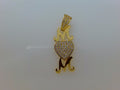 10k Yellow Gold Pendant 1.9g