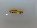 Sliver Women's Argollas 1.5g